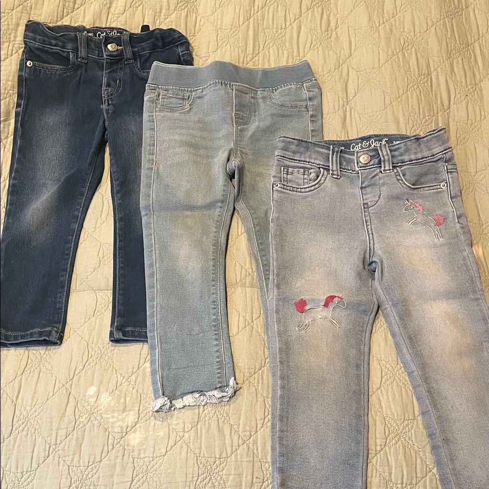 3 Pair lot of Girl’s jeans - HUDSON, and 2 Cat & Jacks